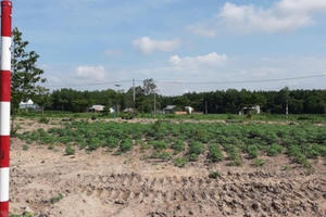 Hoàn tất kết luận điều tra Công ty Alibaba lừa đảo chiếm đoạt tài sản