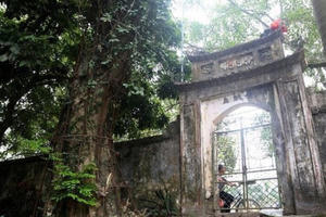 Chuyện ly kỳ cây sưa trăm tỷ: Áo giáp sắt bảo vệ khối 'vàng' lộ thiên