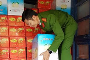 Nghệ An: Bắt giữ hơn 2,5 tấn hoa quả nhập lậu
