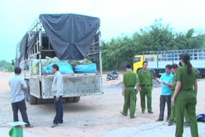 Quảng Ngãi: Bắt giữ hàng tấn thực phẩm bốc mùi hôi thối