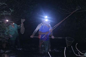 Đêm mưa đi săn 'vũ nữ chân dài' Đêm mưa đi săn 'vũ nữ chân dài'