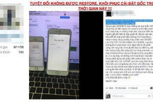 Nhiều iPhone hàng xách tay ở Việt Nam bị biến thành 'cục gạch'