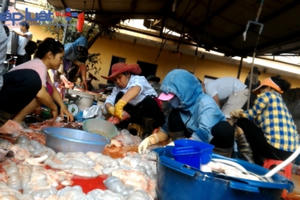 Vụ lò mổ lợn gây ô nhiễm: Trách nhiệm thuộc về ai?