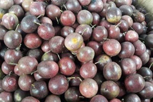 Trung Quốc siết mạnh, khối hàng tỷ USD của Việt Nam đổ dốc