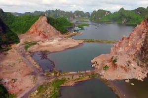 Bảo tồn và phát triển