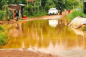 Đắk Nông: Nước ngập úng thành ao lớn giữa đường Đắk R’moan