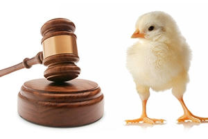 Phạm tội vẫn trắng án