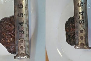 Làm thịt dê, phát hiện 2 hòn “dương bảo” quý hiếm?