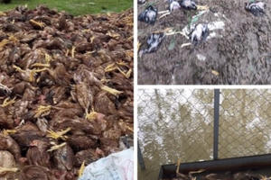 Trắng tay sau trận lũ kinh hoàng