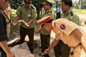 Hà Tĩnh: Choáng với 5,5 tấn mỡ và thịt "bẩn", hôi thối chất đầy trong container