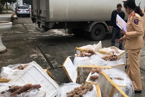 Thanh Hoá: Bắt giữ 280kg thịt động vật "bốc mùi" không có giấy tờ