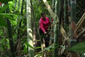 Rơi nước mắt bữa cơm "một bát, một đũa, một mâm" của cô giáo "cắm bản"