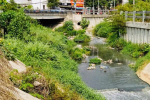 Công trình trọng điểm hàng tỷ đồng có nguy cơ trôi theo dòng suối