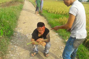 Thanh Hóa: Bắt đối tượng côn đồ thu tiền bảo kê máy gặt trên đồng