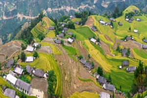 Ngắm Hoàng Su Phì rực mùa lúa chín