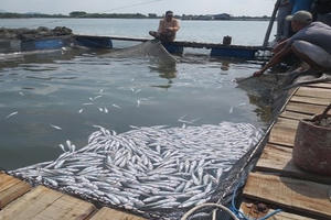 Bản án hợp lòng dân Bản án hợp lòng dân