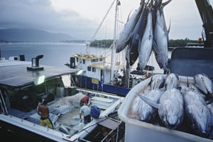 Slide - Điểm tin thị trường: Mỗi tháng người Việt chi gần 140 triệu USD nhập tôm, cá