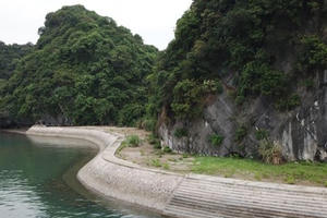 Xâm phạm di sản, biến tướng văn hóa