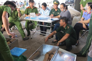 Hải quan Đà Nẵng bắt giữ lô hàng "khủng" ngà voi và vảy tê tê