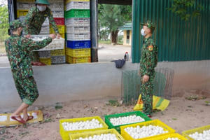 Quảng Ninh: Lực lượng Biên phòng liên tiếp bắt giữ số lượng lớn trứng và gia cầm từ Trung Quốc vào Việt Nam