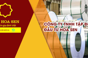 Công ty riêng của ông Lê Phước Vũ muốn bán 30 triệu cổ phiếu HSG