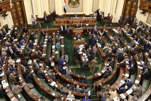 Ai Cập công bố kết quả giai đoạn cuối cuộc bầu cử Hạ viện