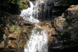 Ngắm vẻ đẹp hoang sơ của thác Mơ - Khe Chè