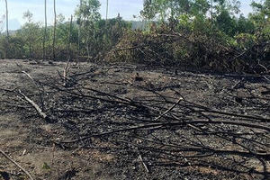 Ông lão 88 tuổi chết cháy khi đốt rẫy