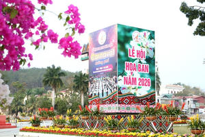 Lễ hội Hoa Ban Điện Biên 2026 diễn ra từ 6-12/3 với nhiều hoạt động văn hóa, du lịch