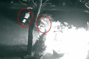 Công an truy tìm kẻ bịt mặt ném "bom xăng" đốt ô tô ở Hà Nội