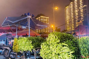 Chợ hoa đêm lớn nhất Thủ Đô vắng khách sau khi dỡ phong toả