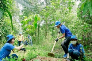 Mục tiêu 1 tỷ cây xanh