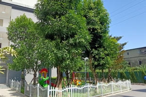 Cần xử lý nghiêm hành vi hành hung phụ nữ tại chung cư Amber Riveside