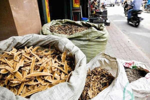 “Loạn” dược liệu nhập lậu tại một số cửa khẩu