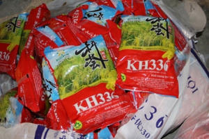 Xử phạt 80 triệu đồng chủ sở hữu 2 tấn lúa giống chưa được cấp phép tại TP Vinh