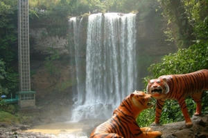 Lâm Đồng đình chỉ 2 dịch vụ du lịch mạo hiểm