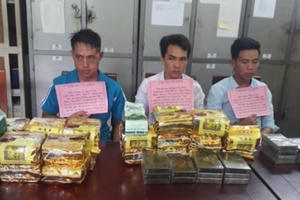 Nghệ An: Bắt quả tang 3 đối tượng vận chuyển 20 bánh heroin, 24 kg ma túy đá và ketamin