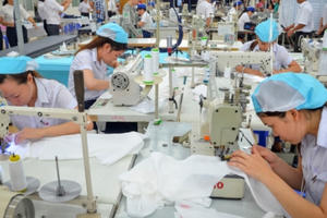 Doanh nghiệp Việt - nước đã đến chân