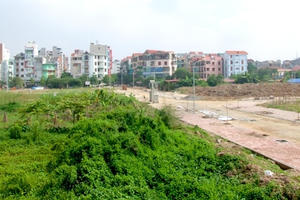 Hà Nội: Duyệt chủ trương đầu tư Xây dựng hạ tầng khu đấu giá quyền sử dụng đất tại huyện Đan Phượng