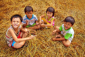 Hương rạ ngày mùa