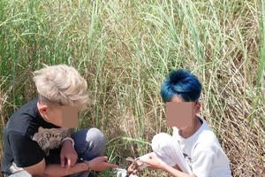 Truy xét, làm rõ nhóm “trộm nhí” tại TP Đà Nẵng