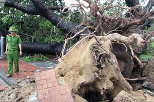 Bão Vamco đổ bộ Quảng Bình - Thừa Thiên-Huế, miền Trung mưa lớn