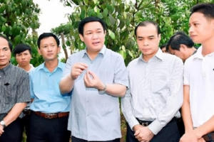 Phó Thủ tướng Vương Đình Huệ thị sát tỉnh Gia Lai