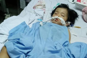 Quảng Ninh: Chủ cơ sở mầm non lĩnh án 12 tháng cải tạo không giam giữ