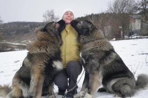 Cận cảnh loài chó nguy hiểm bậc nhất thế giới!