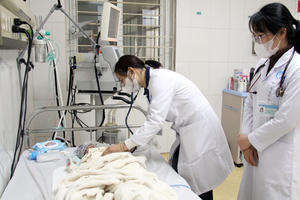 Bộ Y tế yêu cầu siết chặt phòng dịch, an toàn thực phẩm dịp Tết Nguyên đán Bính Ngọ 2026