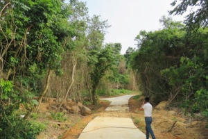 Tranh cãi về công trình cứu hộ 'sai phép' tại Di sản Phong Nha