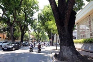 Nắng ấm ở miền Bắc, xâm nhập mặn giảm dần ở Đồng bằng sông Cửu Long