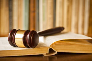 Văn phòng Chính phủ yêu cầu báo cáo việc đại gia gỗ Bình Phước kêu oan