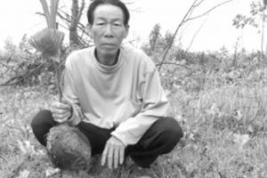 Quảng Bình: Nghi án phá tài sản, hành hung người để tranh giành đất